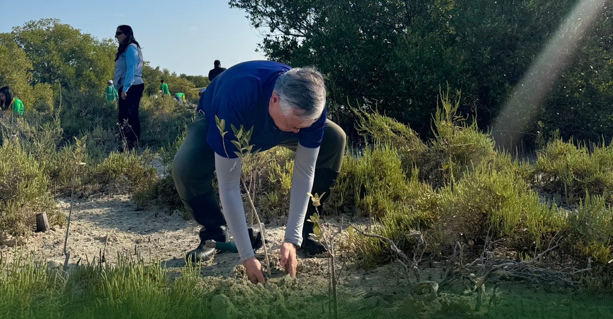 Joint Mangrove Tree Planting Activity